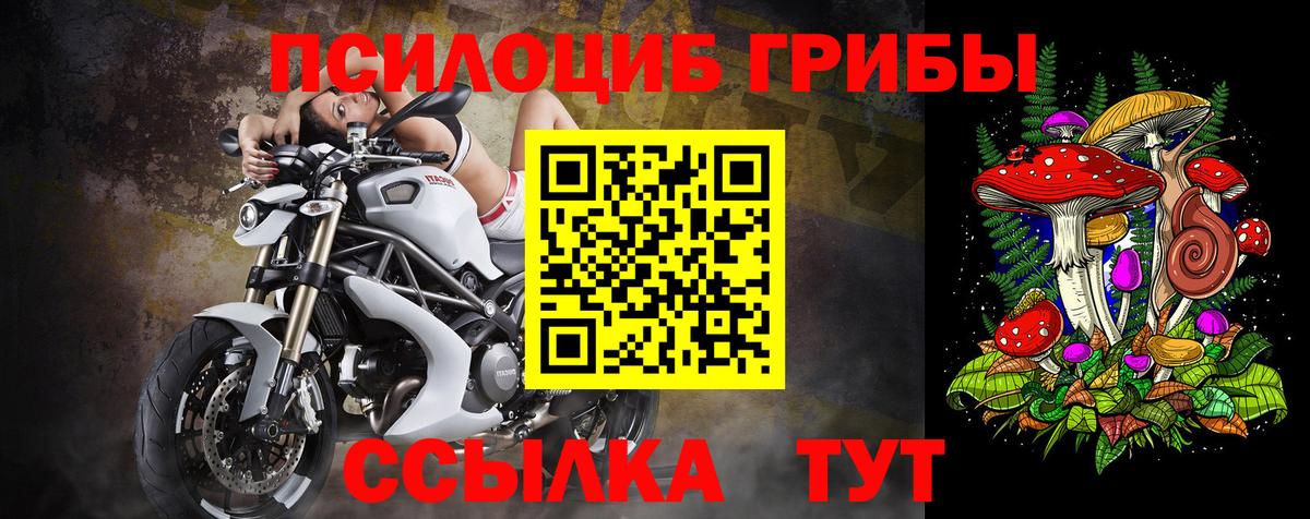 закладка  Вход с VPN  Янаул  Псилоцибиновые грибы Magic Shrooms  Галлюциногенные грибы MAGIC MUSHROOMS 